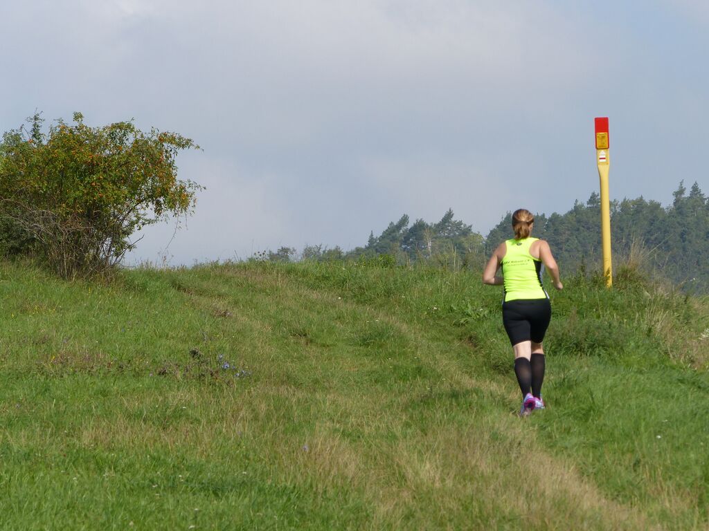 150829_Schillerlauf_3.jpg